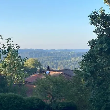 펜션 Schwarzwald-oase Fuer Bis Zu 10 Personen